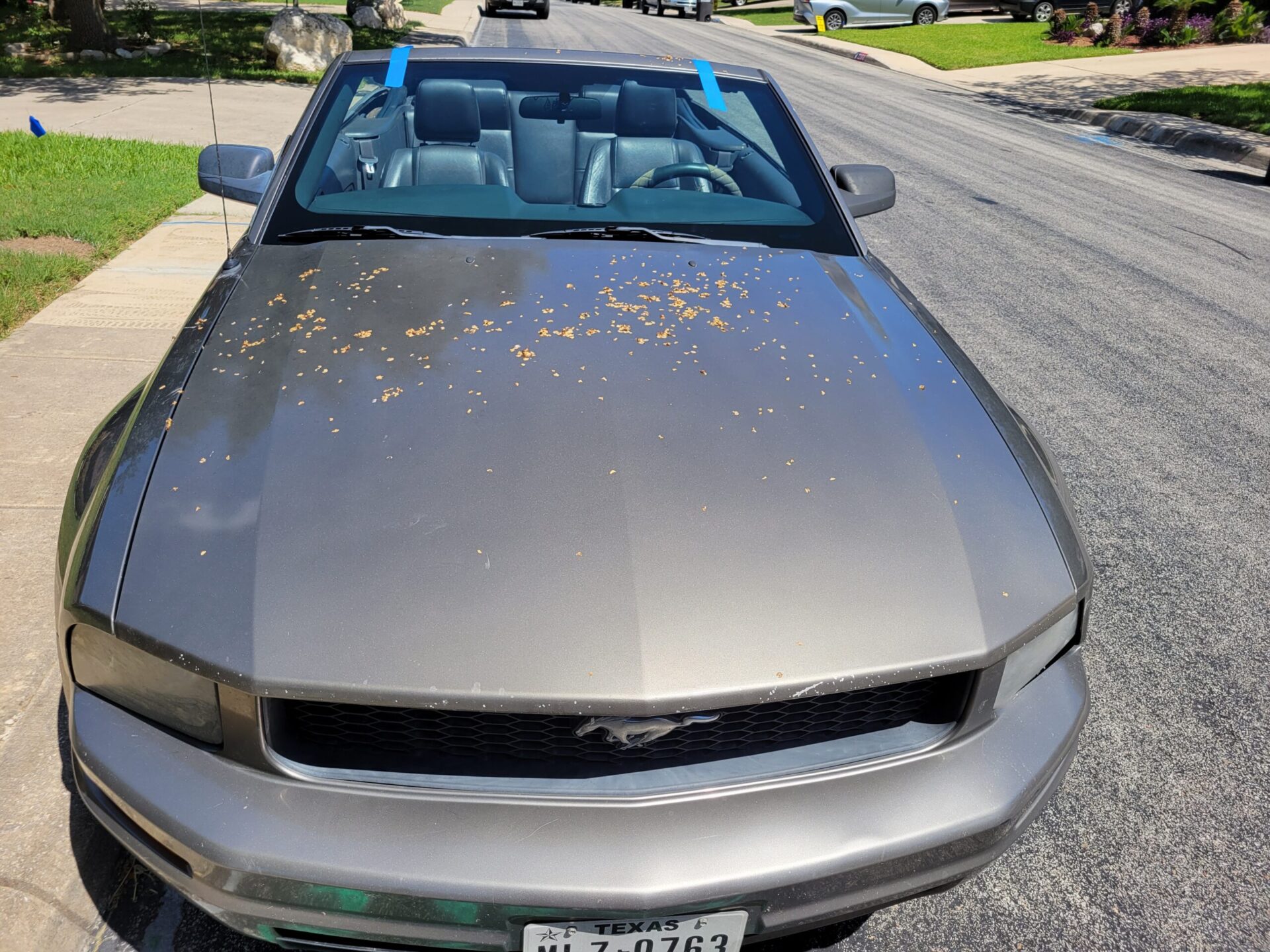 Omni Auto Glass windshield replacement service Omni Auto Glass