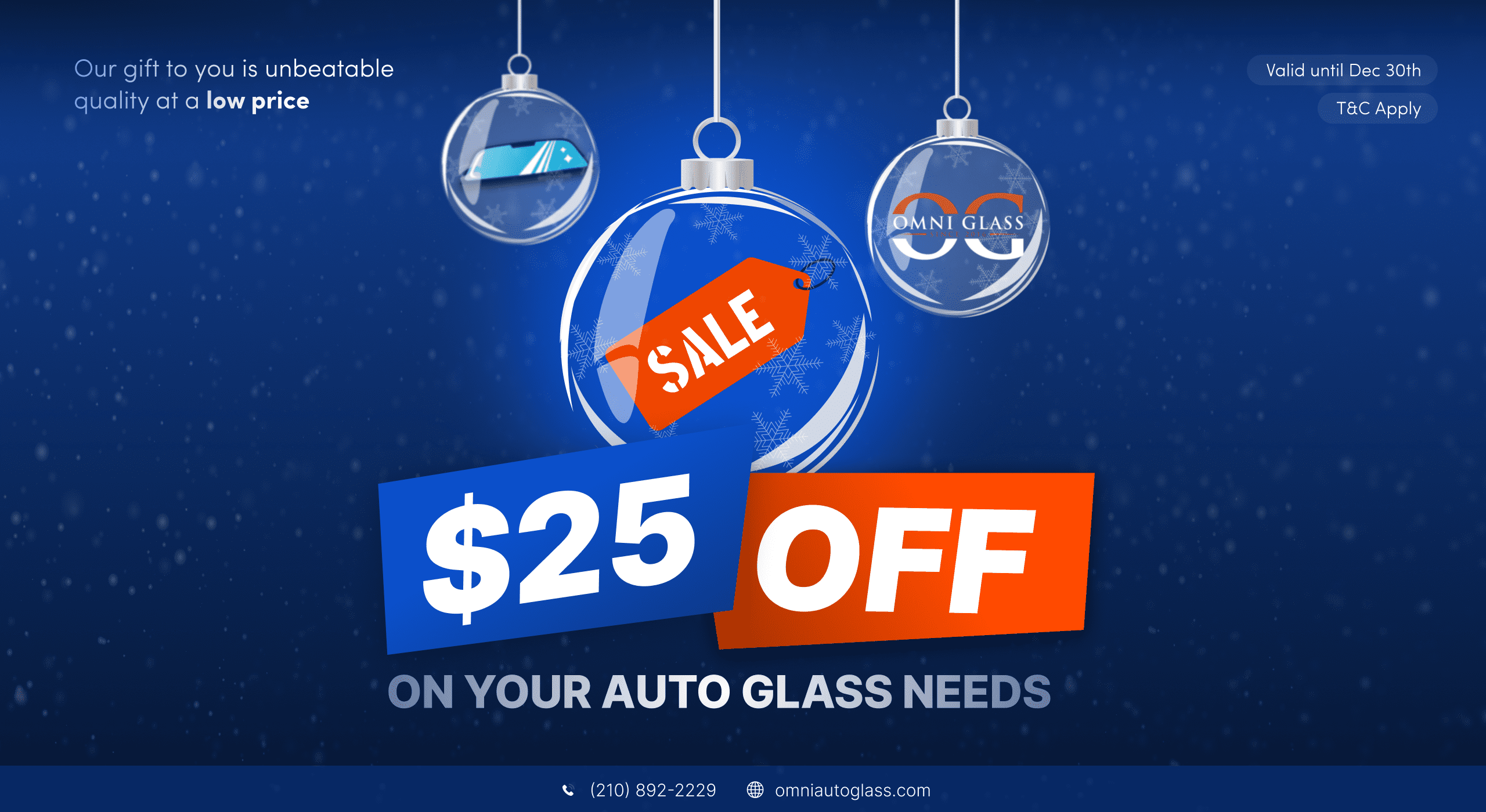 $25 OFF - Christmas Sale